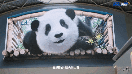 �ɶ�˫������06.gif