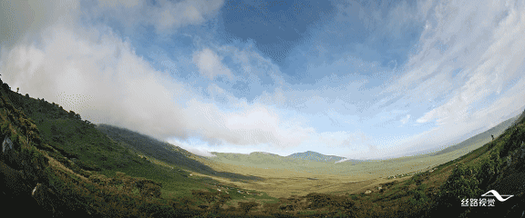 04.gif